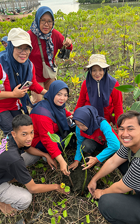Penanaman bibit mangrove